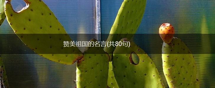 赞美祖国的名言(共80句),第1张 赞美祖国的名言(共80句),第1张