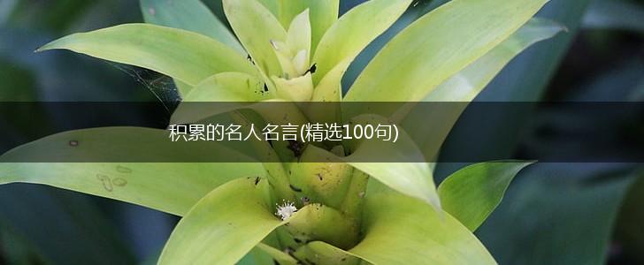 积累的名人名言(精选100句),第1张 积累的名人名言(精选100句),第1张