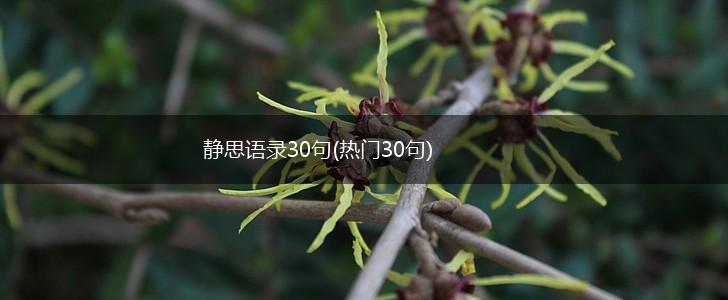 静思语录30句(热门30句),第1张