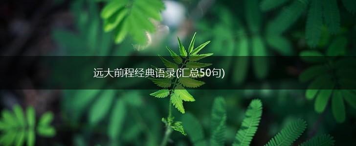 远大前程经典语录(汇总50句),第1张
