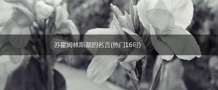 苏霍姆林斯基的名言(热门16句),第1张