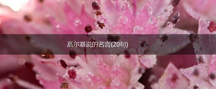 高尔基说的名言(20句),第1张