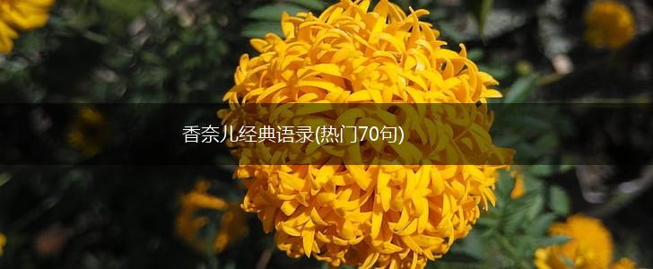 香奈儿经典语录(热门70句),第1张