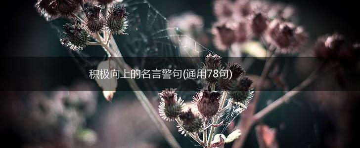 积极向上的名言警句(通用78句),第1张 积极向上的名言警句(通用78句),第1张