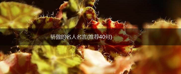 骄傲的名人名言(推荐40句),第1张