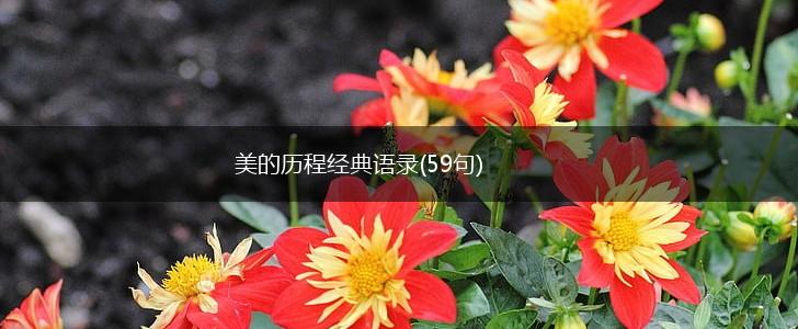 美的历程经典语录(59句),第1张