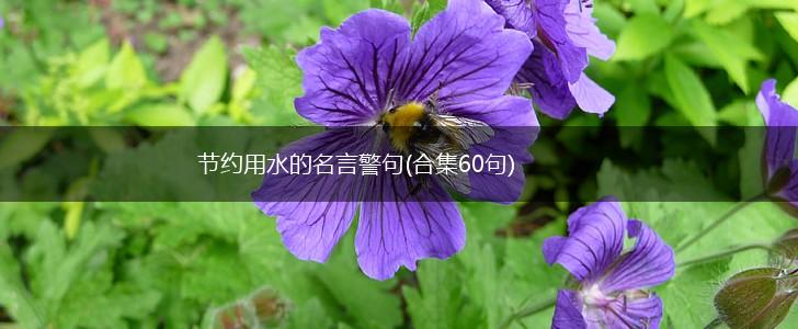 节约用水的名言警句(合集60句),第1张