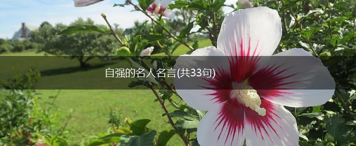 自强的名人名言(共33句),第1张