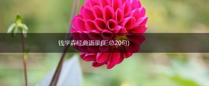 钱学森经典语录(汇总20句),第1张