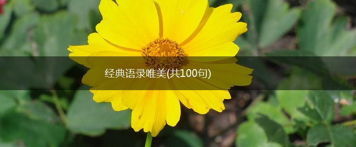 经典语录唯美(共100句),第1张