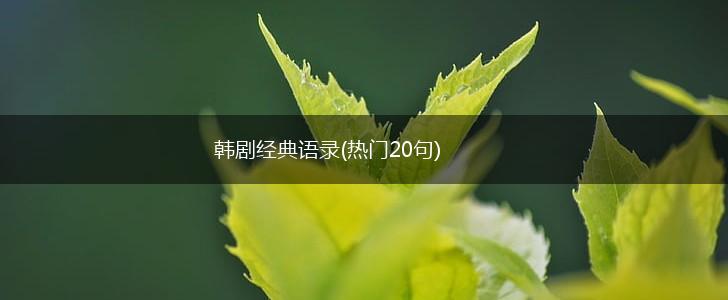 韩剧经典语录(热门20句),第1张