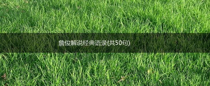 詹俊解说经典语录(共50句),第1张