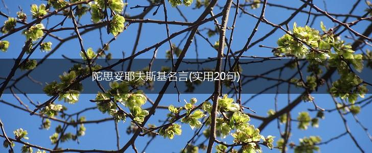 陀思妥耶夫斯基名言(实用20句),第1张