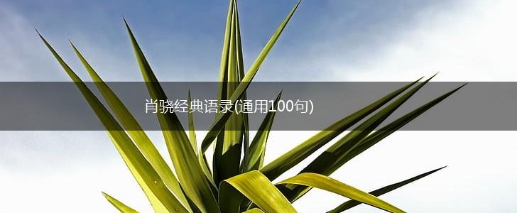 肖骁经典语录(通用100句),第1张