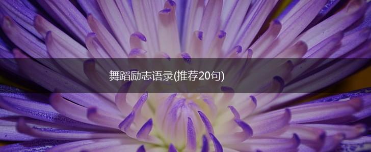 舞蹈励志语录(推荐20句),第1张