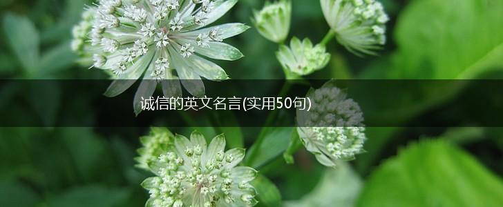 诚信的英文名言(实用50句),第1张 诚信的英文名言(实用50句),第1张