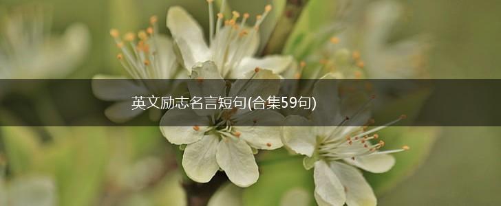 英文励志名言短句(合集59句),第1张