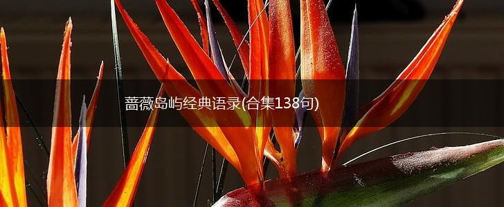 蔷薇岛屿经典语录(合集138句),第1张