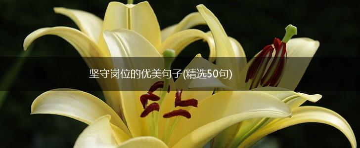 坚守岗位的优美句子(精选50句),第1张