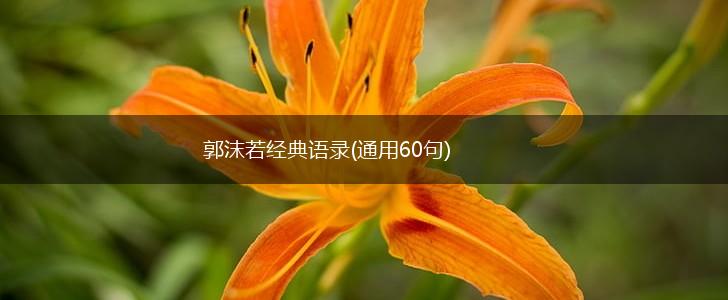 郭沫若经典语录(通用60句),第1张