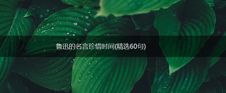 鲁迅的名言珍惜时间(精选60句),第1张