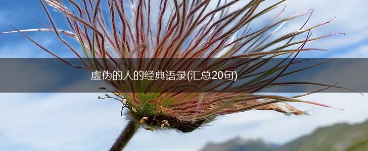 虚伪的人的经典语录(汇总20句),第1张