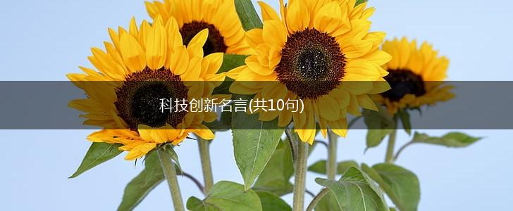 科技创新名言(共10句),第1张