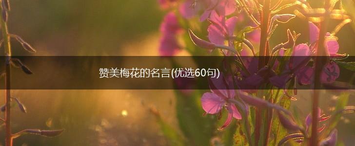 赞美梅花的名言(优选60句),第1张 赞美梅花的名言(优选60句),第1张