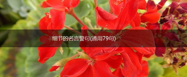 细节的名言警句(通用79句),第1张