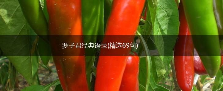 罗子君经典语录(精选69句),第1张