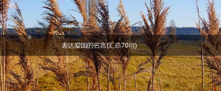 表达爱国的名言(汇总70句),第1张 表达爱国的名言(汇总70句),第1张