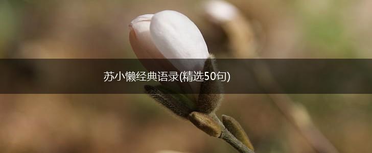 苏小懒经典语录(精选50句),第1张