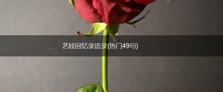 艺妓回忆录语录(热门49句),第1张