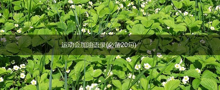 运动会加油语录(必备20句),第1张