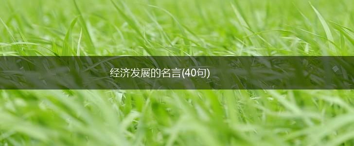 经济发展的名言(40句),第1张 经济发展的名言(40句),第1张