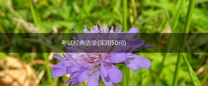 考试经典语录(实用50句),第1张