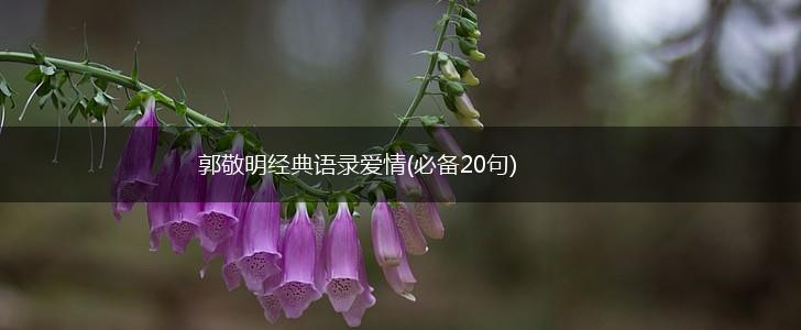 郭敬明经典语录爱情(必备20句),第1张