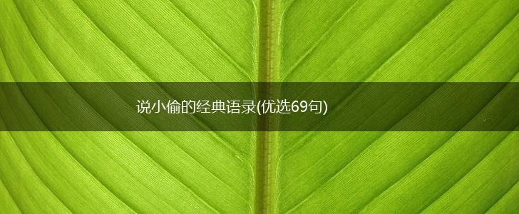 说小偷的经典语录(优选69句),第1张
