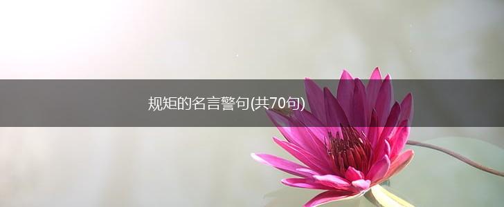规矩的名言警句(共70句),第1张 规矩的名言警句(共70句),第1张