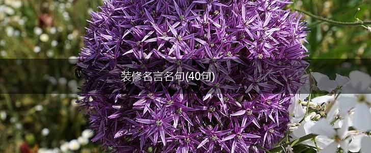 装修名言名句(40句),第1张 装修名言名句(40句),第1张