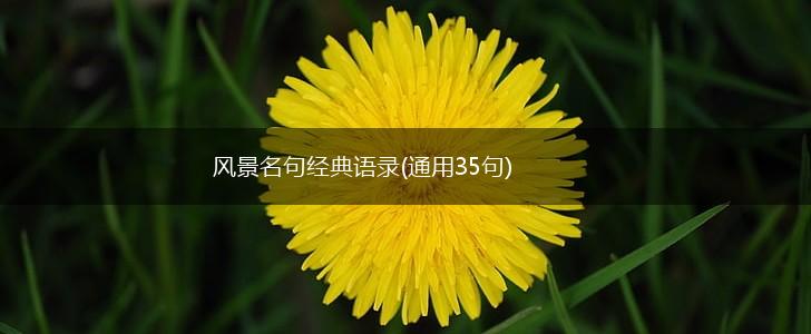 风景名句经典语录(通用35句),第1张