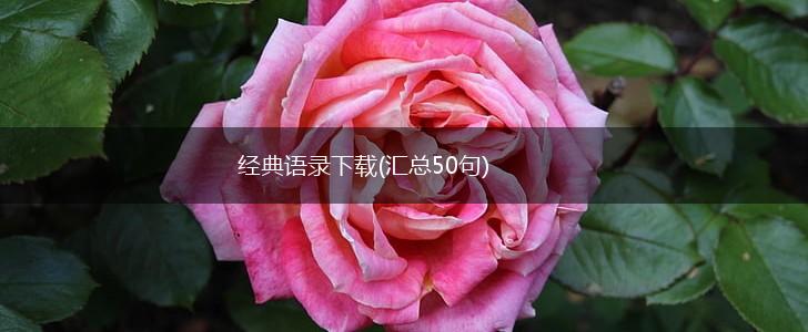 经典语录下载(汇总50句),第1张