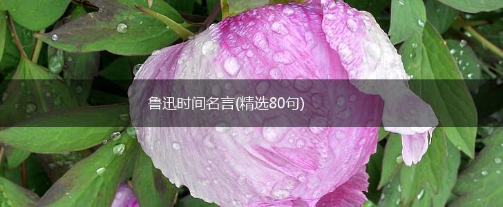 鲁迅时间名言(精选80句),第1张