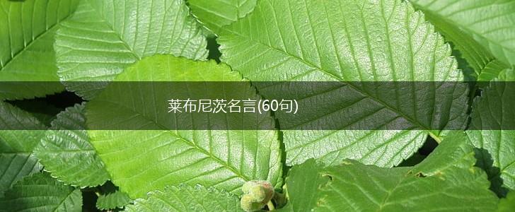 莱布尼茨名言(60句),第1张