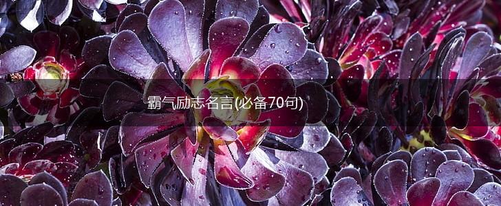 霸气励志名言(必备70句),第1张