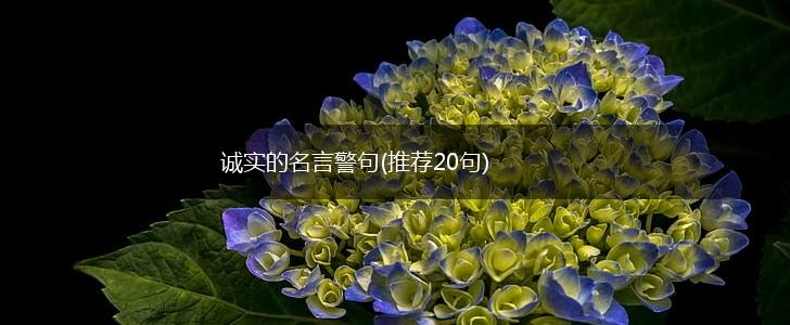 诚实的名言警句(推荐20句),第1张