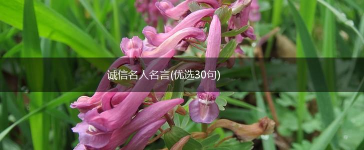 诚信名人名言(优选30句),第1张 诚信名人名言(优选30句),第1张