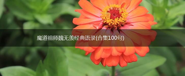 魔道祖师魏无羡经典语录(合集100句),第1张