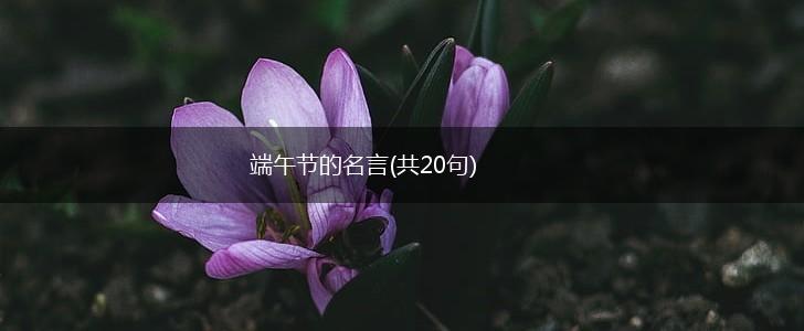端午节的名言(共20句),第1张