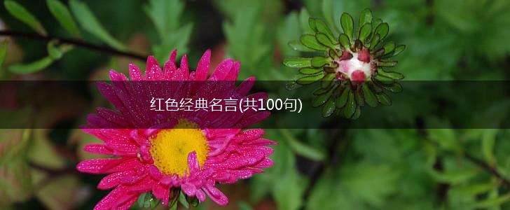 红色经典名言(共100句),第1张